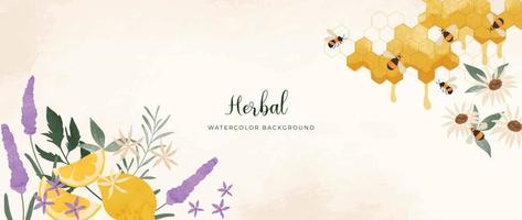 Botanical herbal watercolor background vector. Fresh aromatic lavender, flowers, honeycomb, bees, lemon. Natural garden floral design for wallpaper, cover, advertising, healthcare product, cosmetics. vector