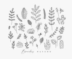 Set of different forms branch and leaves in minimalism style drawing on white background vector