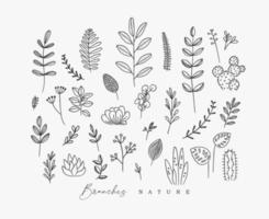 Set of different forms branch and leaves in minimalism style drawing on white background vector