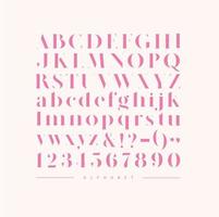 Poster stylish english alphabet. Uppercase, lowercase letters and numbers drawing in pink color vector