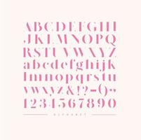 Poster stylish english alphabet. Uppercase, lowercase letters and numbers drawing in pink color vector