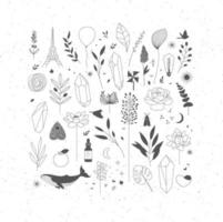 Set of different decorative elements with branches, flowers, animals and various objects. vector