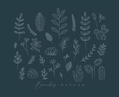 Set of different forms branch and leaves in minimalism style drawing on dark blue background vector