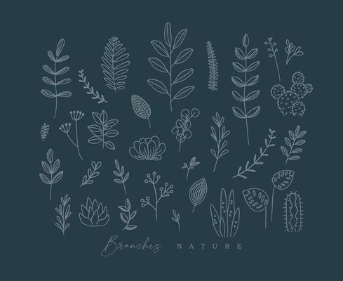 Set of different forms branch and leaves in minimalism style drawing on dark blue background