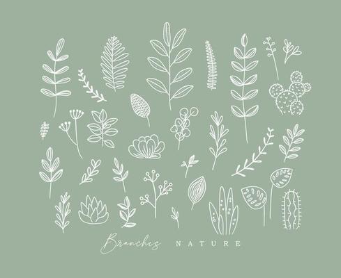 Set of different forms branch and leaves in minimalism style drawing on green background