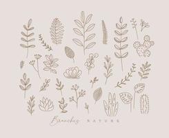 Set of different forms branch and leaves in minimalism style drawing on beige background vector