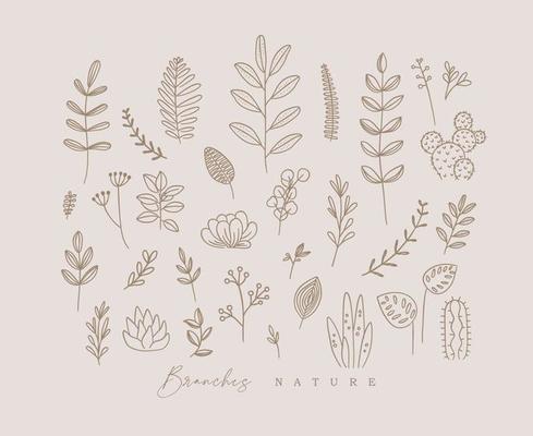 Set of different forms branch and leaves in minimalism style drawing on beige background
