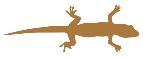 hus ödla också kallad hus gecko eller gekkonidae silhuett för konst illustration, logotyp, piktogram eller grafisk design element. formatera png