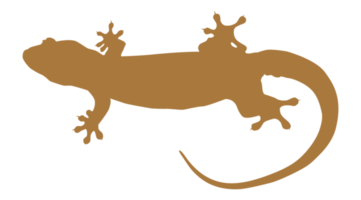 hus ödla också kallad hus gecko eller gekkonidae silhuett för konst illustration, logotyp, piktogram eller grafisk design element. formatera png