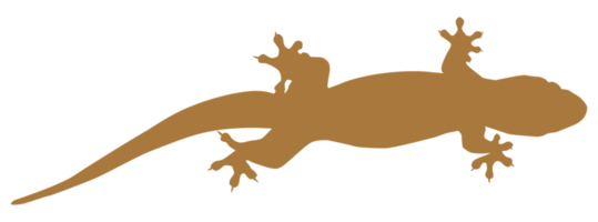 House Lizard also called House Gecko or Gekkonidae Silhouette for Art Illustration, Logo, Pictogram or Graphic Design Element. Format PNG