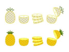 Pineapple collections set in flat style vector