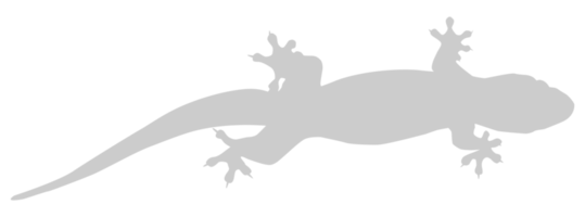 hus ödla också kallad hus gecko eller gekkonidae silhuett för konst illustration, logotyp, piktogram eller grafisk design element. formatera png