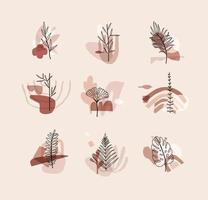 Set of different forms leaves in minimalism flat style on beige background vector