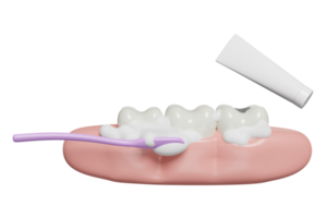 3d dentale molare denti modello icona con spazzolino, dentifricio tubo, gengive, bolla isolato. dentale visita medica di il dentista, Salute di bianca denti, orale cura 3d rendere illustrazione png