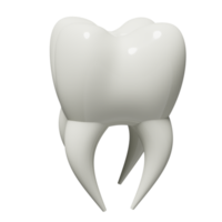 3d dental molar dentes modelo ícone isolado. saúde do branco dentes, dental exame do a dentista, 3d render ilustração png