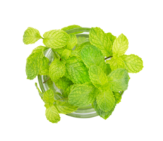 Mint in the transparent glass bowl isolated png