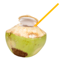 Kokosnuss Wasser trinken isoliert png