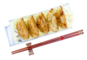 gebraten Knödel oder Gyoza isoliert png