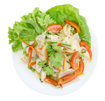 Thai cuisine spicy pork salad isolated png