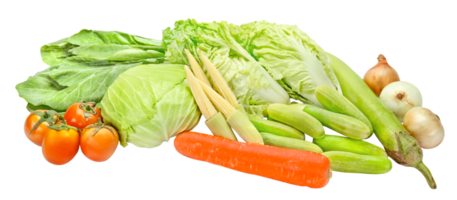 varios Fresco vegetales aislado png