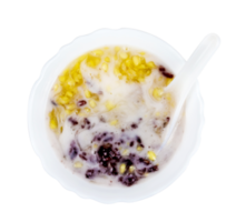 Sweet mung bean porridge mix black sticky rice with coconut cream,Tao suan,Thai Dessert isolated png