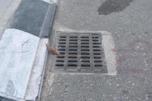 cover drains on the side of the road so that garbage does not get involved in the disposal of water photo