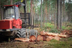 Sanitary cleaning of the forest by red tractor in the summer forest photo