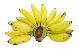 plátanos aislados en blanco foto