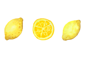 limão aguarela pintura png