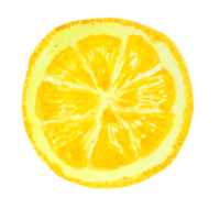 citron- vattenfärg målning png