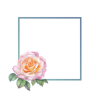 A Frame of Orange Rose watercolor png