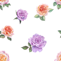 Roses watercolor painting seamless background png