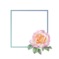 A Frame of Orange Rose watercolor png