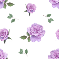 Roses watercolor painting seamless background png