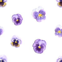 Purple Pansy Flower watercolor painting Seamless background png