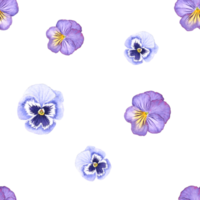 Purple Pansy Flower watercolor painting Seamless background png