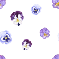 Purple Pansy Flower watercolor painting Seamless background png