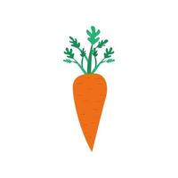 Carrot with stem. Useful vegetable in flat style. Carrot icon.Healthy meal. Vegetarian food. Vector illustration of a carrot with a white isolated background.