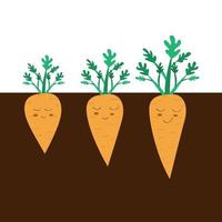 Set of carrots with stalk in flat style. Sweet carrot. Carrot growth cycle. Carrots in the ground. Set of carrots with stalk in flat style. Vector carrot with a smile and eyes.