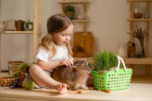 Cute little girl in the wooden kitchen of the house feeds the rabbit fresh grass photo