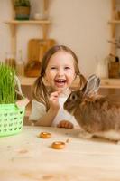 Cute little girl in the wooden kitchen of the house feeds the rabbit fresh grass photo