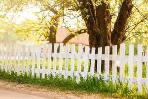 White fence and green hedge with tree on blue sky photo