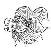 Vector Outline Asian Gold Fish Illustration