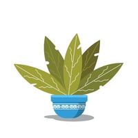 anthurium on blue pot vector design