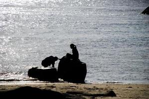 amantes sentado en rocas en el playa foto