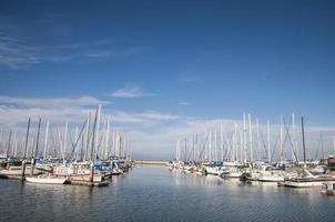 Beautiful harbor in San Francisco photo