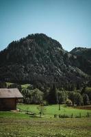 Wooden hut in the alps with mountains in the background Panorama photo