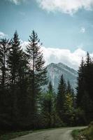 Majestic mountains in the Alps covered with trees and clouds photo