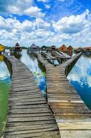 Houses on a lake in Hungary photo