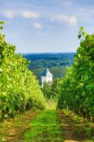 Old church in the vineyard near Tokaj photo